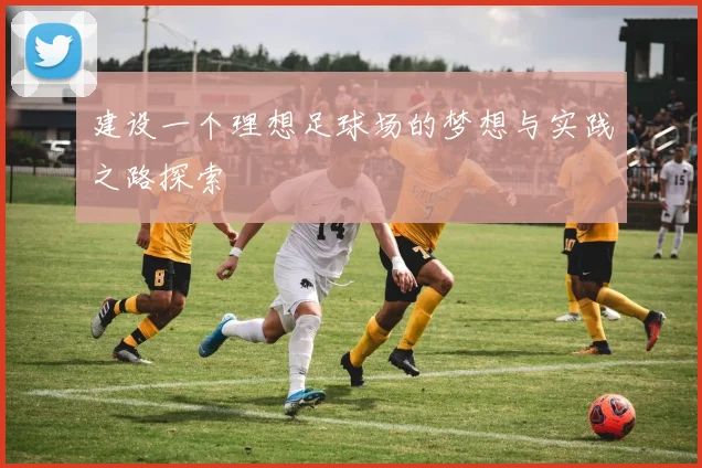 建设一个理想足球场的梦想与实践之路探索