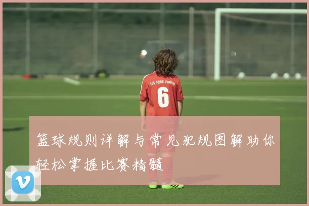 篮球规则详解与常见犯规图解助你轻松掌握比赛精髓