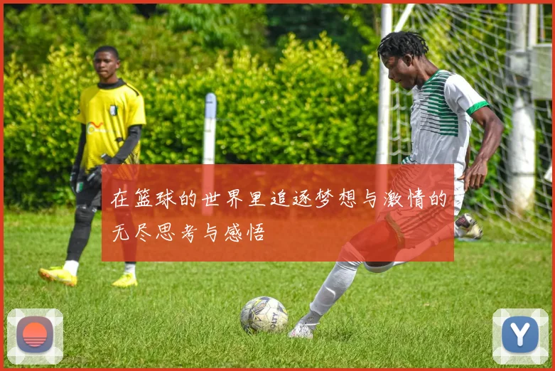 在篮球的世界里追逐梦想与激情的无尽思考与感悟