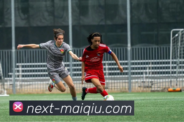 游戏足球的魅力与策略探讨让我们一起领略绿茵场上的精彩瞬间与战术较量